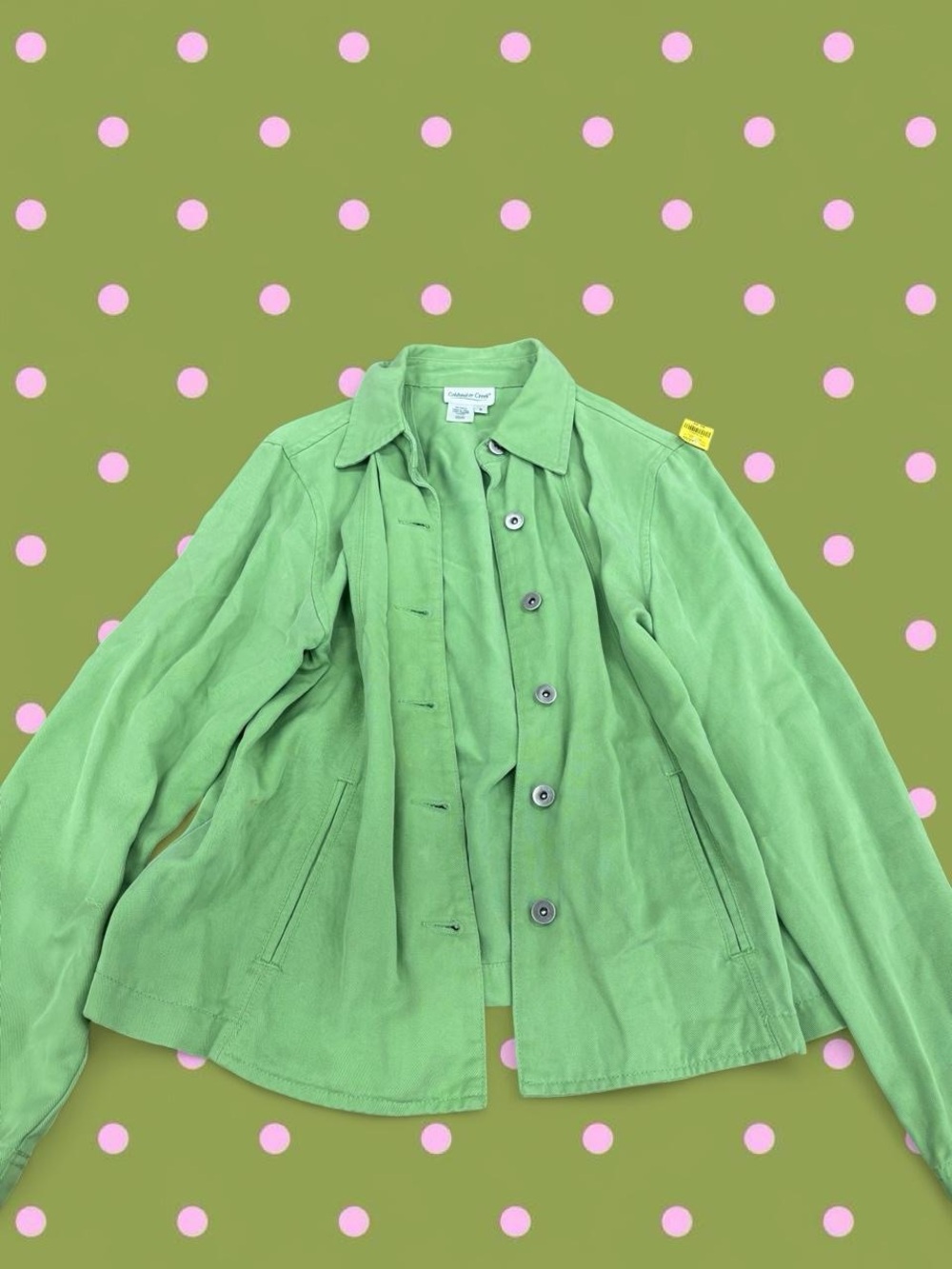 Coldwater Creek Light Green Button-Up Jacket